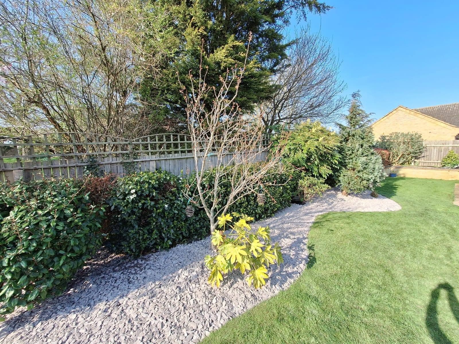 Signs You Need Gardening Help and What to Do Next