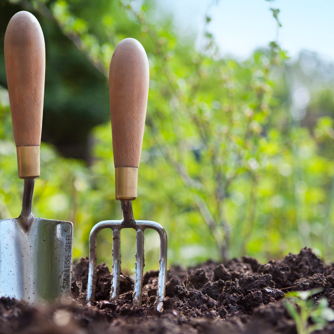 Gardening equipment in soil